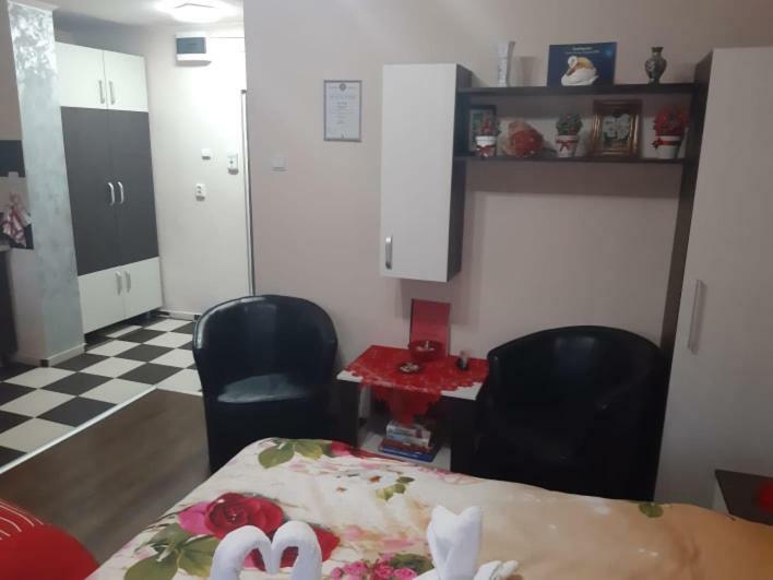 Garsoniera Lorelai Băile Felix المظهر الخارجي الصورة