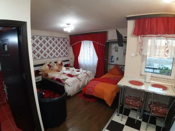 Garsoniera Lorelai Băile Felix المظهر الخارجي الصورة