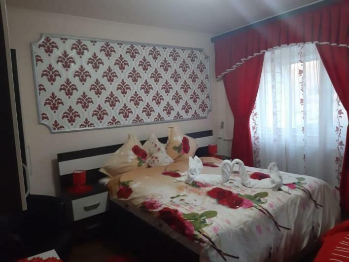 Garsoniera Lorelai Băile Felix المظهر الخارجي الصورة